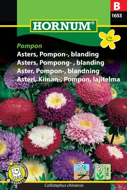 Asters frø – Pompon blanding