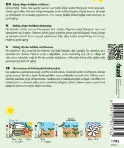 Asters Frø Mix – Margareten Mix