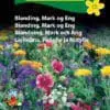 Mark og Eng blanding – Vokser let og hurtigt – Blomsterfrø