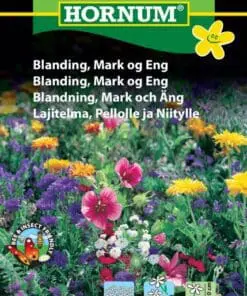 Mark og Eng blanding – Vokser let og hurtigt – Blomsterfrø