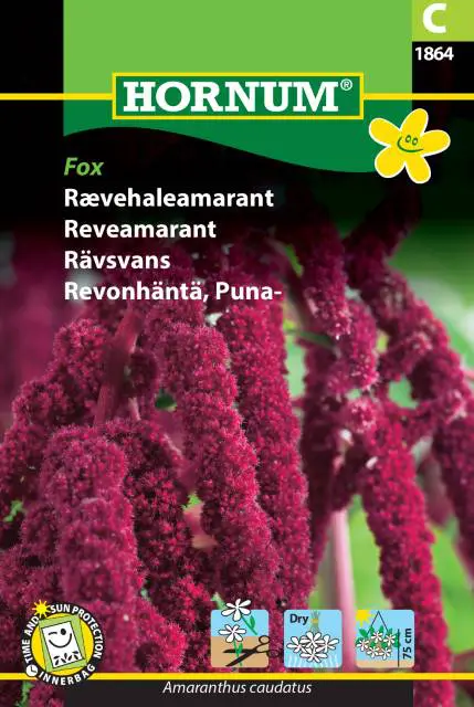 Rævehaleamarant frø – Vinrød