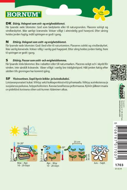 Rød Kornblomst – Red Lola kornblomstfrø