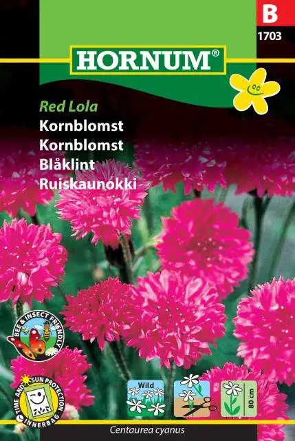Rød Kornblomst – Red Lola kornblomstfrø