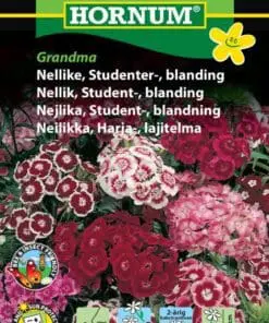 Studenternelliker frø – Grandma nellike blanding