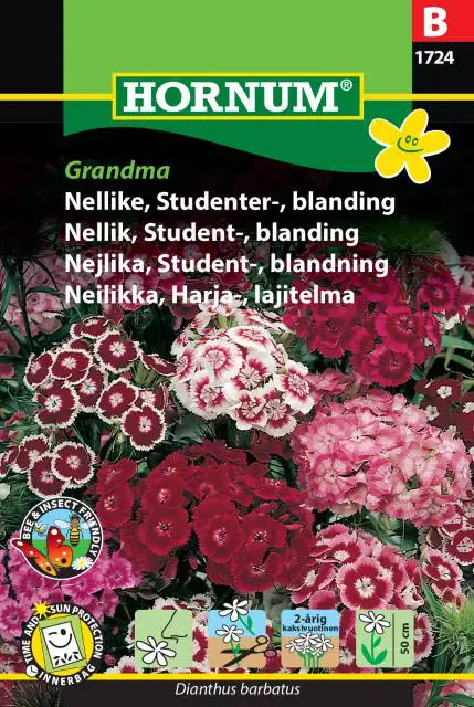 Studenternelliker frø – Grandma nellike blanding