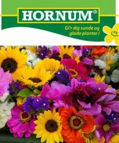 Blomsterfrø