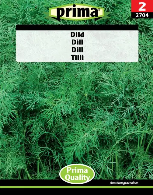 Dildfrø. Klassisk dild der er meget nem at dyrke. Bestil dildfrø og andre krydderurtefrø opnline til gode priser på www.nemhjem.dk Hurtig levering