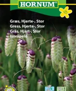 Hjertegræs frø – Stor hjertegræs