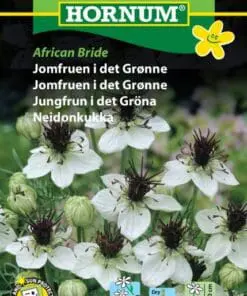 Jomfruen i det grønne – African Bride – Blomstefrø