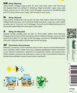Kørvel frø – Kørvel Commun