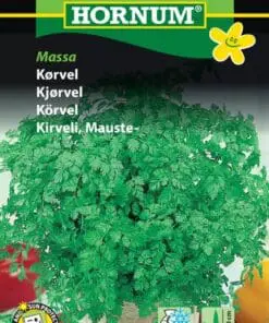 Kørvel frø – Kørvel Commun