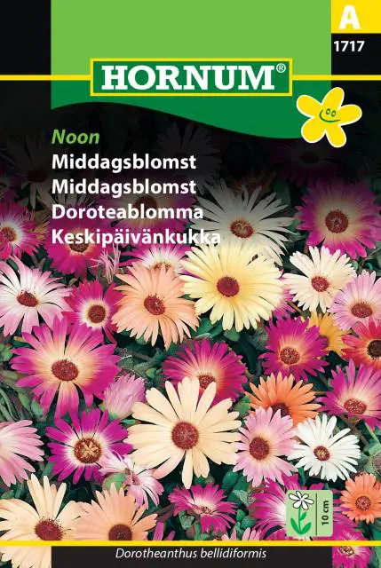 Middagsblomst – Blomsterfrø
