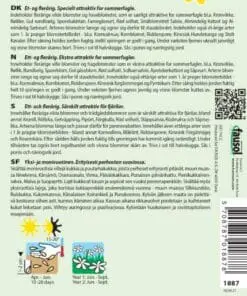 Sommerfugleeng blomsterblanding