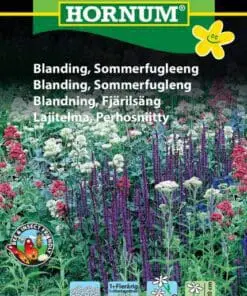 Sommerfugleeng blomsterblanding