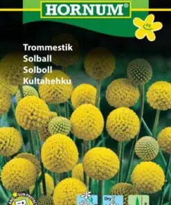 Trommestik frø – Blomsterfrø