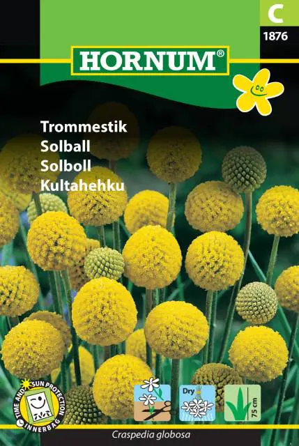 Trommestik frø – Blomsterfrø