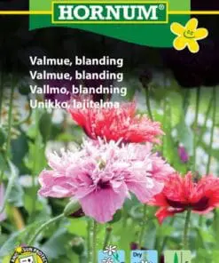 Valmue blanding – Blomsterfrø