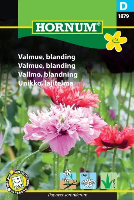 Valmue blanding – Blomsterfrø
