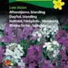 Aftenstjerne blanding – Blomsterfrø