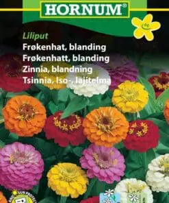 Frøkenhat blanding – Blomsterfrø