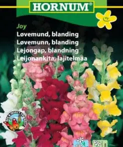Løvemund – Blomsterfrø