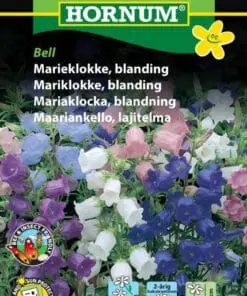 Marieklokke blanding – Blomsterfrø