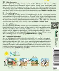 Pragtsnerle purpur blanding – Blomsterfrø
