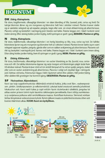 Pragtsnerle purpur blanding – Blomsterfrø