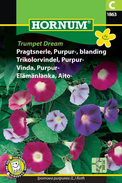 Pragtsnerle purpur blanding – Blomsterfrø