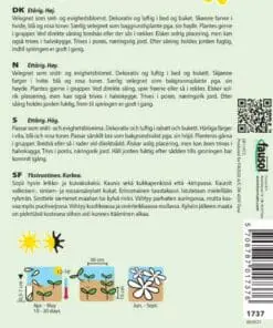 Ridderspore blanding – Blomsterfrø
