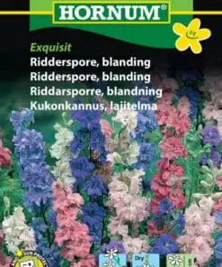 Ridderspore blanding – Blomsterfrø