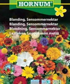 Sensommernektar blomsterblanding – Blomsterfrø