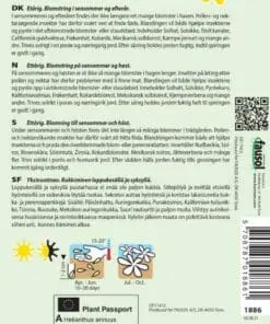 Sensommernektar blomsterblanding – Blomsterfrø