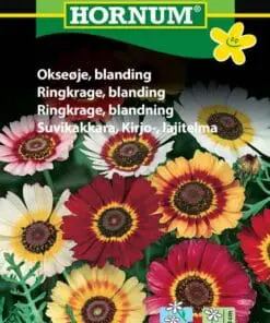 Okseøje blanding – Blomsterfrø