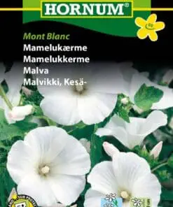 Mamelukærme Mont Blanc – Blomsterfrø