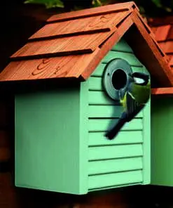 Redekasse / Fuglehus “Beach Hut” i Grøn. FSC-certificeret træ.