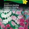 Ærteblomst blanding “Infinity” Flerårig ærteblomst – Blomsterfrø