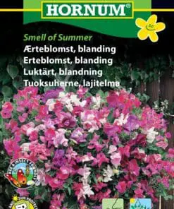 Ærteblomst blanding “Smell of Summer” – Blomsterfrø