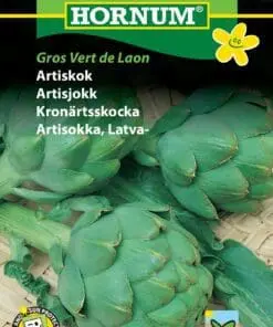 Artiskok frø – Artiskokker er både velsmagende grøntsager og flotte snitblomster