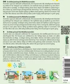 Artiskok frø – Artiskokker er både velsmagende grøntsager og flotte snitblomster