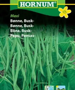 Buskbønne Maxi – Grøntsagsfrø – Nem at høste