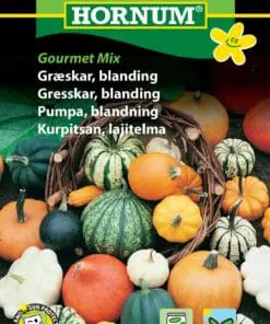 Græskarfrø “Gourmet blanding” af udvalgte sorter – Spiselige og smukke – Grøntsagsfrø
