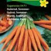 Gulerod Sommer “Sugarsnax” – Grøntsagsfrø – Gulerodsfrø Tidlig Sød sommergulerod