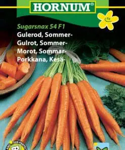 Gulerod Sommer “Sugarsnax” – Grøntsagsfrø – Gulerodsfrø Tidlig Sød sommergulerod