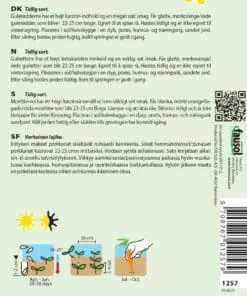 Gulerod Sommer “Sugarsnax” – Grøntsagsfrø – Gulerodsfrø Tidlig Sød sommergulerod