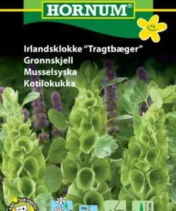 Irlandsklokke Tragtbæger – Blomsterfrø. Velegnet som snitblomst og til evighedsbuketter