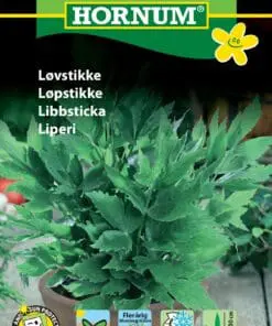 Løvstikke frø – Krydderurtefrø – Flerårig krydderurt også kaldet maggieurt