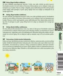 Pæon Asters – Blanding – Blomsterfrø – Farverig og meget holdbar snitblomst