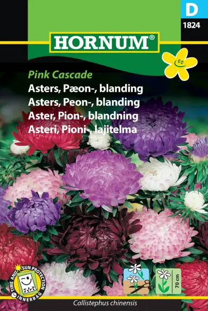 Pæon Asters – Blanding – Blomsterfrø – Farverig og meget holdbar snitblomst