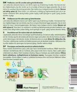 Pralbønne eller Prydbønne – Grøntsagsfrø